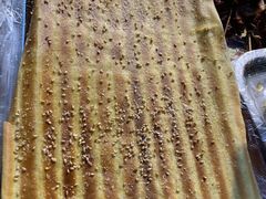 -勃利地摊·勃立小串烧烤