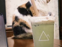-去茶山(新光里店)