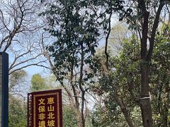-惠山国家森林公园