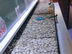 -聚盛源蒸汽海鲜火锅烤肉自助(巨川金海岸购物广场店)