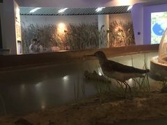 -上海长江河口科技馆