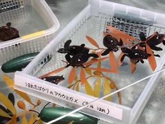 -鹿儿岛水族馆