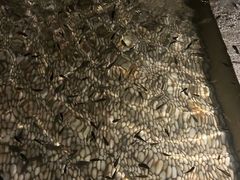 -明谷行馆·温泉