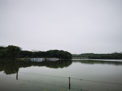 -昆山城市生态森林公园