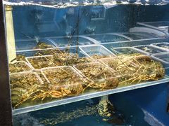 -小天妃海鲜酒楼(西马庄店)