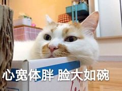 -老炉家木炭烤肉(长江国际店)