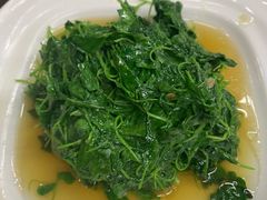 -协和菜馆(凤凰街店)