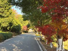 -方山风景区定林寺