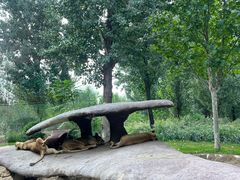 -北京野生动物园