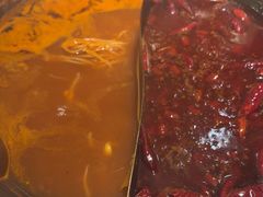 -朱光玉火锅馆(正弘城店)