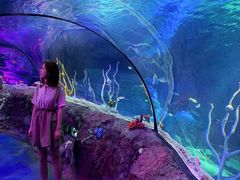 -沈阳海洋探索中心