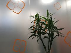 -大茴香越法料理(SOHO复兴店)