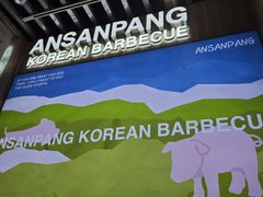 -安又胖韩国烤肉(泰达永旺店)