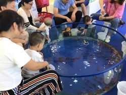 -爱婴室(上海浦建路店)