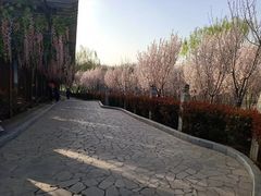 -西安汉城湖景区