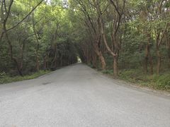-同里国家湿地公园