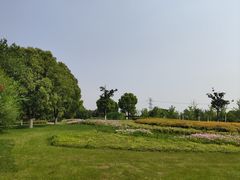 -九里河湿地公园