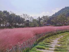 -蛇蟠岛