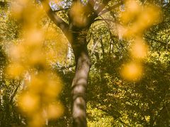 -上海交通大学(闵行校区)