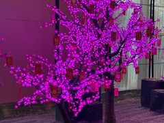 -长沙富力万达文华酒店