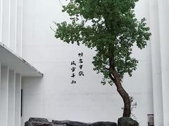 -中国宣纸文化园