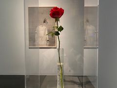 -清华大学艺术博物馆