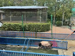 -五龙山野生动物王国