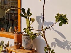 -AHAVA·Fang Baking Studio