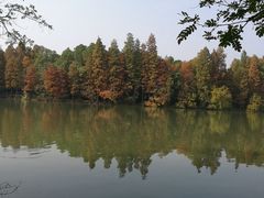 -东湖落雁景区