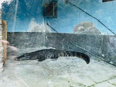 -宁波野生动物园