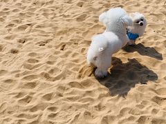 -青岛第三海水浴场