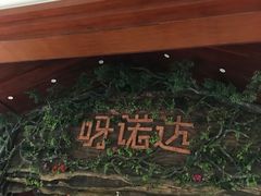 -呀诺达热带雨林