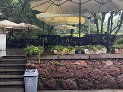 -龙井壹号·茶缘山景宴(龙井村店)
