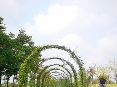 -广富林郊野公园