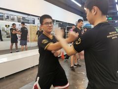 -温鉴良实用咏春拳