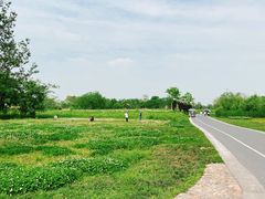 -良渚文化村