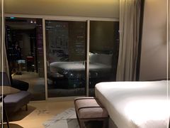 -新加坡瑞士史丹福酒店