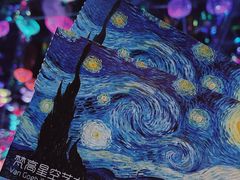 -梵高星空艺术馆(北京旗舰店)