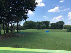 -银涛高尔夫练习场(徐泾店)