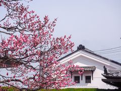 -醍醐寺