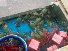 -普乐酱蟹(coex店)
