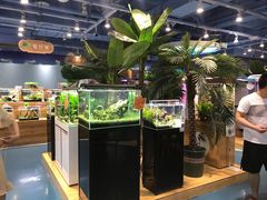 -龟与熊猫宠物公园(南坪店)