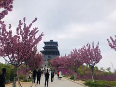-古柏渡飞黄旅游区