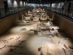 -洛阳周王城天子驾六博物馆