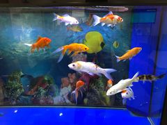 -北京市中关村医院