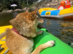 -安吉龙王山峡谷漂流