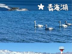 -青海湖国家重点风景名胜区