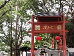 -侨美·唐荔园·40年地道粤菜