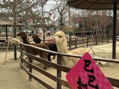 -盈香心动乐园