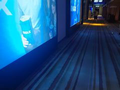 -博纳国际影城IMAX(中央大道店)